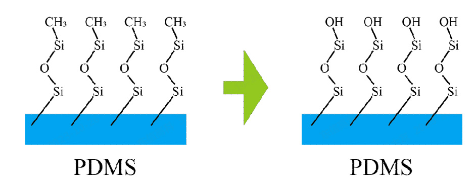 图1.1 PDMS 好色先生TV软件表面处理