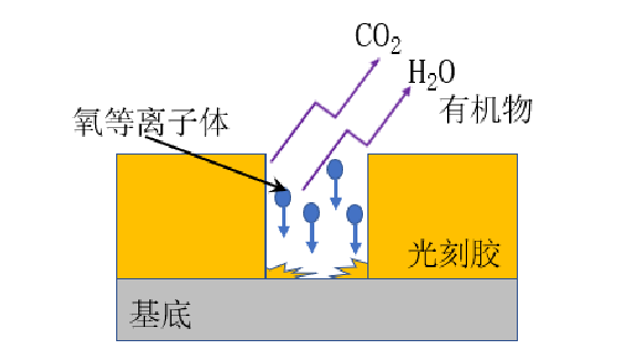 氧好色先生TV软件扫底胶去残胶