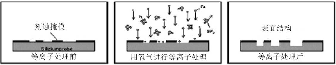 氧好色先生TV软件体刻蚀