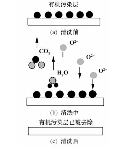 氧好色先生TV软件体清洗示意图