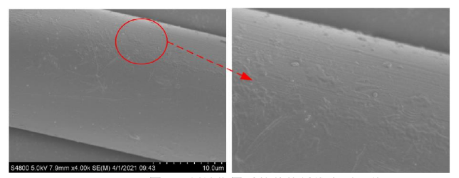 好色先生TV软件刻蚀作用后的芳纶纤维表面形貌