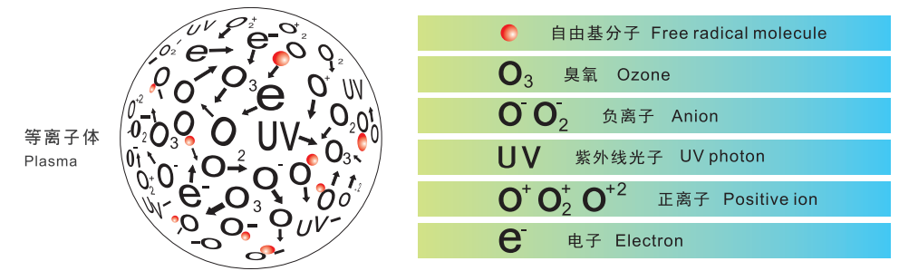 好色先生TV软件体