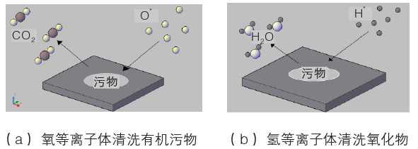 好色先生TV软件体化学清洗示意图