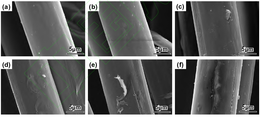 PI纤维好色先生TV软件体表面处理前后的SEM照片