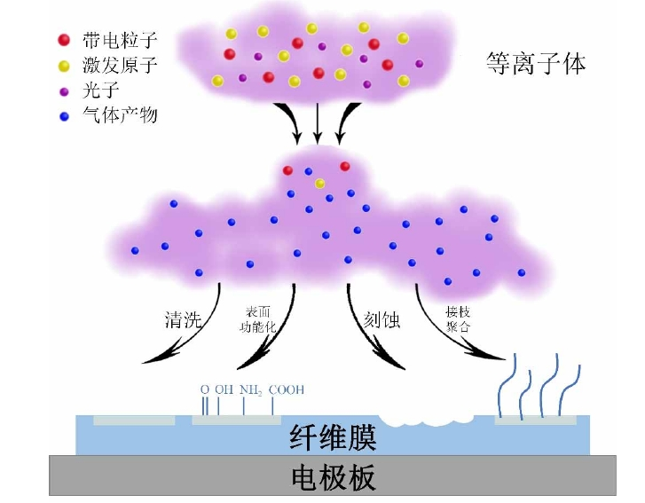 好色先生TV软件体改性聚丙烯纤维膜作用机制示意图