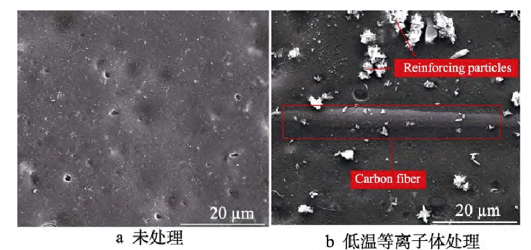 低温好色先生TV软件体处理前后复合材料表面 SEM图(a)未处理(b)